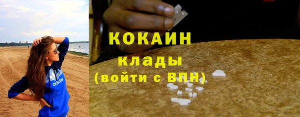 прущие грибы Лихославль