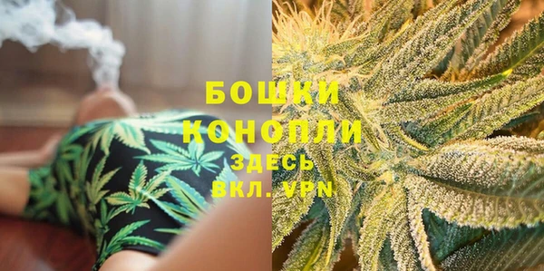 ГАЛЛЮЦИНОГЕННЫЕ ГРИБЫ Бронницы