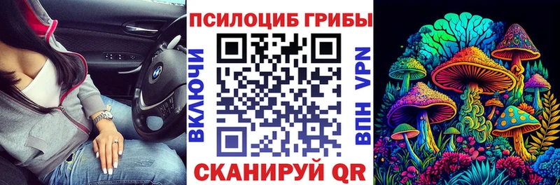 Псилоцибиновые грибы Psilocybine cubensis  Олонец 