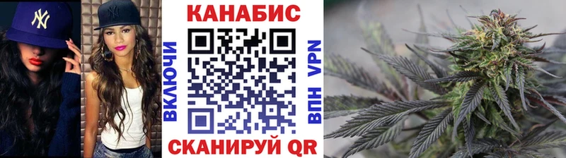 Конопля гибрид Олонец